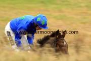 hurricane-fly-pml-00110807