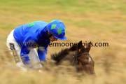 hurricane-fly-pml-00110807