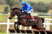 hurricane-fly-pml-00110811