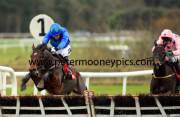 hurricane-fly-pml-00110820