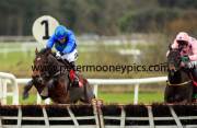 hurricane-fly-pml-00110820