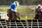 hurricane-fly-pml-00110821