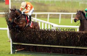 twilight-pml-00110725