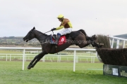 Galopin Des Champs 191222PML0284.jpg