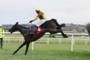 Galopin Des Champs 191222PML0285.jpg