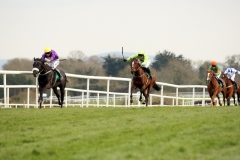 Hidden Universe PML 00116889.JPG