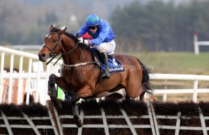 Hurricane Fly PML 00117264.JPG