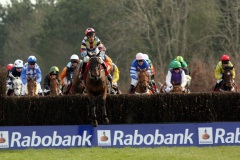 Chasing Cars PML 00117177.JPG