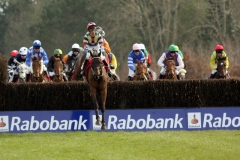 Chasing Cars PML 00117178.JPG