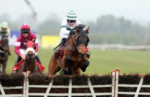 Barizan PML 00117437.JPG