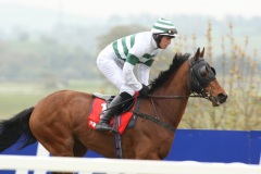 Barizan PML 00117407.JPG