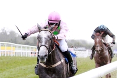 Champagne Fever-PML 00184973