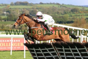 faugheen-260418pml0223