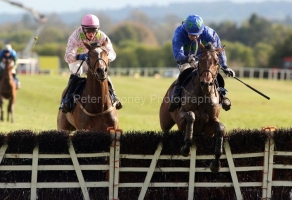 Hurricane Fly-PML 00185778 Hurricane Fly-PML 00185778