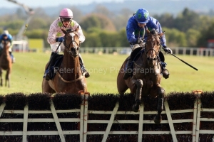 Hurricane Fly-PML 00185778 Hurricane Fly-PML 00185778