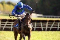 Hurricane Fly-PML 00185791