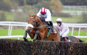 Pandorama-PML-00104311