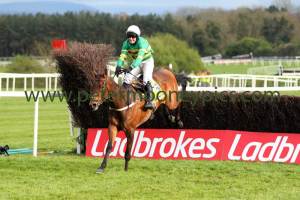 great-field-270417pml0459 great-field-270417pml0459