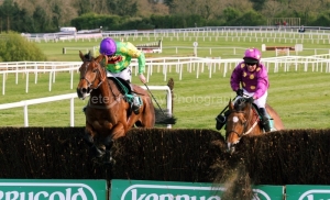 Master Minded PML 0088986.JPG