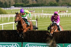 Master Minded PML 0088986.JPG