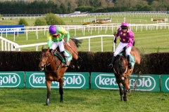 Master Minded PML 0088989.JPG