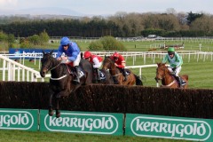 Rare Bob PML 0089014.JPG