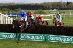 Rare Bob PML 0089015.JPG