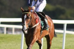 Abbeyglen 280426PML1079.jpg