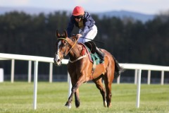 Abbeyglen 280426PML1091.jpg