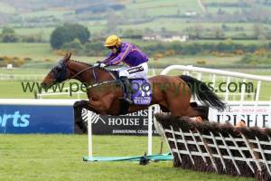 wicklow-brave-280417pml0352 wicklow-brave-280417pml0352