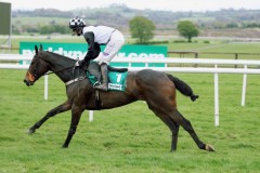 Dunguib PML 0089130.JPG