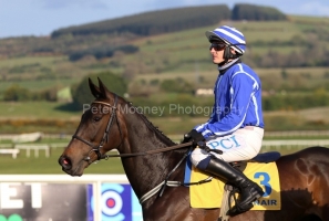 29 April 2021;  Energumene, ridden by Paul Townend, prior to gaining success in The Ryanair Novice Steeplechase at Punchestown.© Peter Mooney, 59 Upper George's Street, Dun Laoghaire, Co. Dublin, A96 H2R3, Ireland  Tel: 00 353 (0)86 2589298