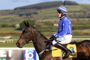 29 April 2021;  Energumene, ridden by Paul Townend, prior to gaining success in The Ryanair Novice Steeplechase at Punchestown.© Peter Mooney, 59 Upper George's Street, Dun Laoghaire, Co. Dublin, A96 H2R3, Ireland  Tel: 00 353 (0)86 2589298