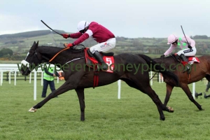 don-cossack-290415pml467 don-cossack-290415pml467