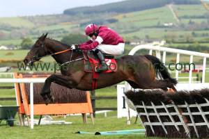 apples-jade-290417pml0588