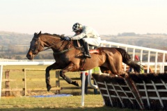 Gagewell Flyer-PMLOO143294