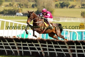 apples-jade-300416pml0671 apples-jade-300416pml0671