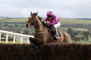 Big Zeb PML 00109640.JPG