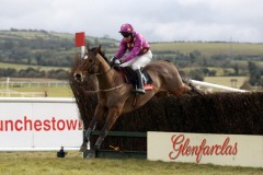 Big Zeb PML 00109642.JPG