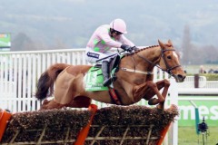 15 March 2016; ANNIE POWER and Ruby Walsh put in a fine leap at the final flight before going on to success in The Stan James Champion Hurdle Challenge Trophy at Cheltenham.  © Peter Mooney, 59 Upper George's Street, Dun Laoghaire, Co. Dublin A96 H2R3, Ireland.  Tel:  00 353 (0)86 2589298