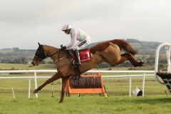 17 February 2016;  ANNIE POWER, Ruby Walsh up, jumping a flight on her way to winning The punchestown.com Mares Hurdle at Punchestown.  © Peter Mooney, 59 Upper George's Street, Dun Laoghaire, Co. Dublin A96 H2R3, Ireland.  Tel:  00 353 (0)86 2589298