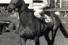 Arkle