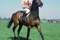 15 April 1974; Captain Christy, Bobby Beasley up, prior to participating in The Irish Grand national at Fairyhouse.© Peter Mooney, 59 Upper George's Street, Dun Laoghaire, Co. Dublin A96 H2R3, Ireland.  Tel:  00 353 (0)86 2589298