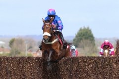 7 April 2016; CUE CARD and Paddy Brennan put in a fine leap  as they lead runner-up, Don Poli, Bryan Cooper up, right, at the final fence en route to claiming The Betfred Bowl Steeplechase at Aintree.  © Peter Mooney, 59 Upper George's Street, Dun Laoghaire, Co. Dublin A96 H2R3, Ireland.  Tel:  00 353 (0)86 2589298