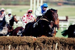 16 March 1994; Danoli, Charlie Swan up, clears a hurdle on his way to success in The Sun Alliance Novices Hurdle at Cheltenham.© Peter Mooney, 59 Upper George's Street, Dun Laoghaire, Co. Dublin A96 H2R3, Ireland.  Tel:  00 353 (0)86 2589298