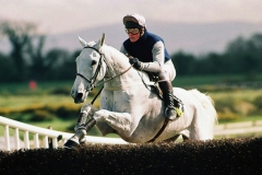 16 April 1990; Desert Orchid and Richard Dunwoody take a fence prior to their success in The Jameson Irish Grand National Handicap Steeplechase at Fairyhouse. © Peter Mooney, 59 Upper George's Street, Dun Laoghaire, Co. Dublin A96 H2R3, Ireland.  Tel:  00 353 (0)86 2589298