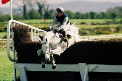 16 April 1990; Despite making an error at the final obstacle, Desert Orchid and Richard Dunwoody go on to success in The Jameson Irish Grand National Handicap Steeplechase at Fairyhouse. © Peter Mooney, 59 Upper George's Street, Dun Laoghaire, Co. Dublin A96 H2R3, Ireland.  Tel:  00 353 (0)86 2589298