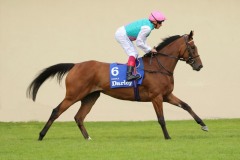 15 July 2017;  Enable, Frankie Dettori up.      © Peter Mooney, 59 Upper George's Street, Dun Laoghaire, Co. Dublin A96 H2R3, Ireland.  Tel:  00 353 (0)86 2589298