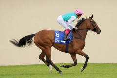15 July 2017;  Enable, Frankie Dettori up.      © Peter Mooney, 59 Upper George's Street, Dun Laoghaire, Co. Dublin A96 H2R3, Ireland.  Tel:  00 353 (0)86 2589298