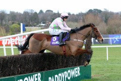 2  February 2020;   Faugheen, Paul Townend up, on his way to winning The Flogas Novice Steeplechase at Leopardstown.      © Peter Mooney, 59 Upper George's Street, Dun Laoghaire, Co. Dublin A96 H2R3, Ireland.    Tel:  00 353 (0)86 2589298